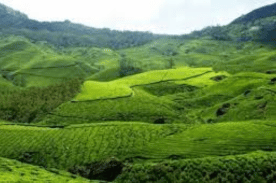 Munnar