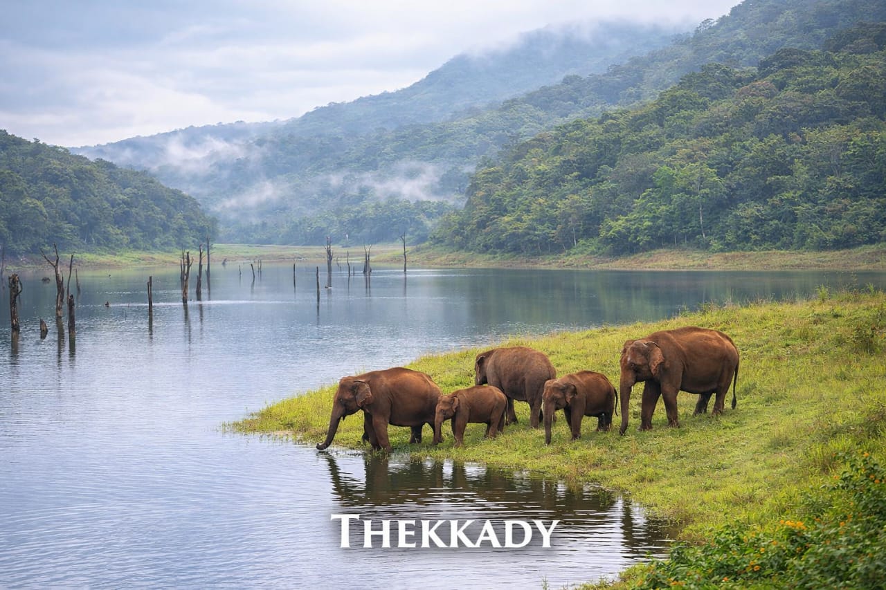 Thekkady